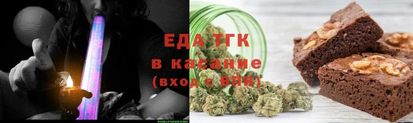 индика Богородск