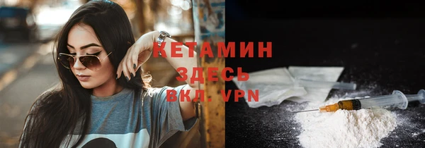 индика Богородск