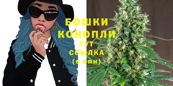 apvp Белокуриха