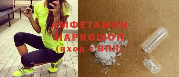 индика Богородск