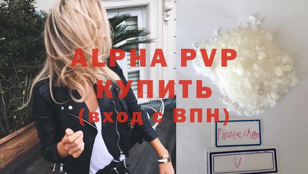 стаф Белоозёрский