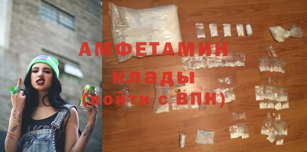 индика Богородск