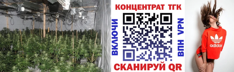 купить наркотики цена  kraken маркетплейс  ТГК жижа  Плёс 