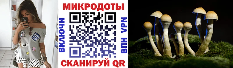 наркота  Плёс  Псилоцибиновые грибы прущие грибы 